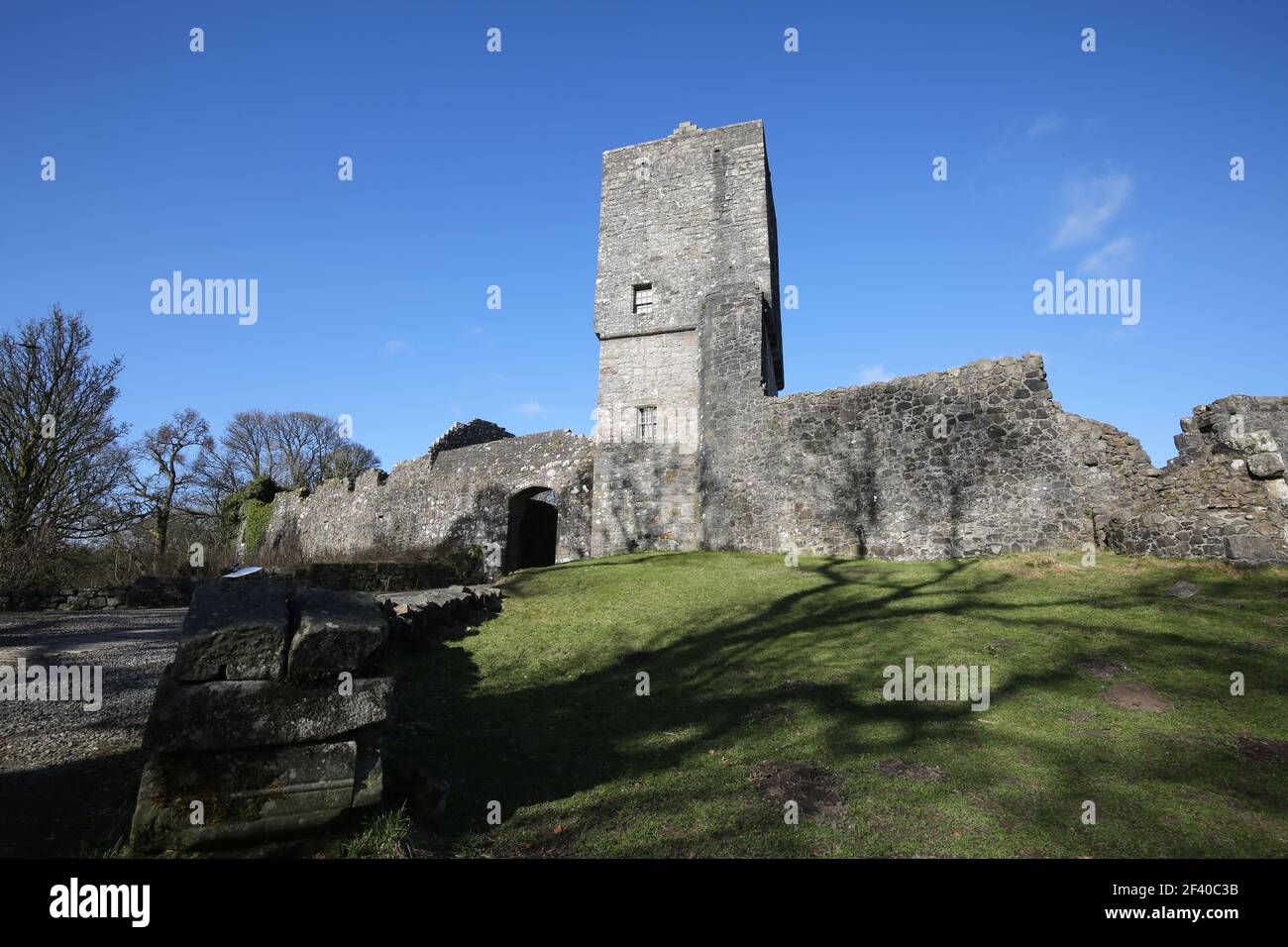 Mugdock Country Park ( Milngavie) East Dunbartonshire, Scotland,UK, 17