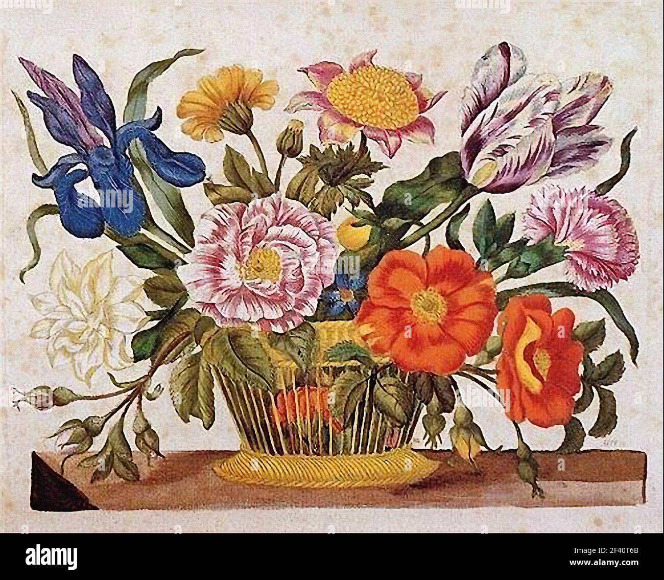 Blumennahrung hi-res stock photography and images