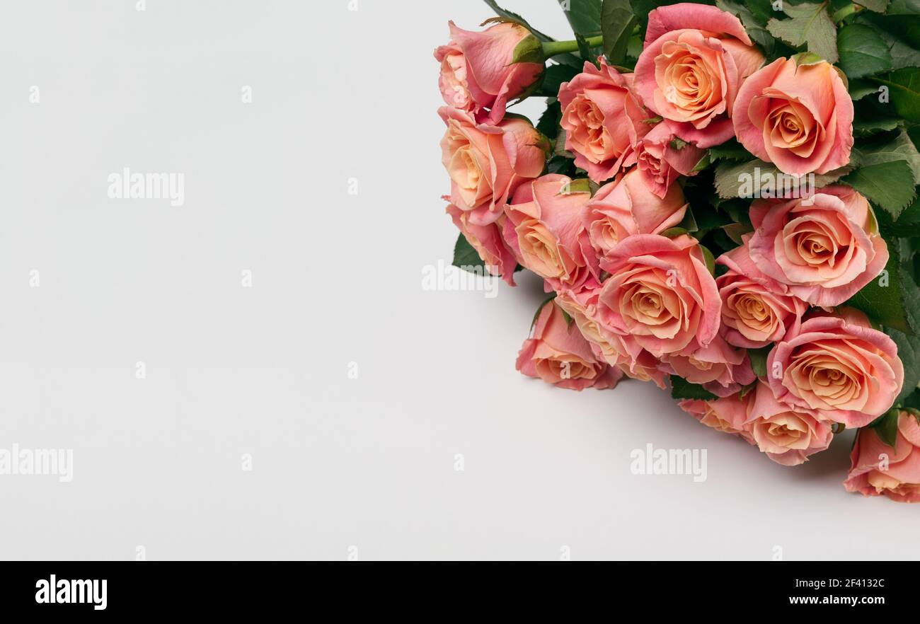 Bouquet of rose flowers on white background with copy space Stock Photo ...