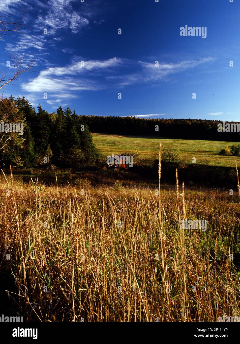 Vermont open field in autumn Stock Photo