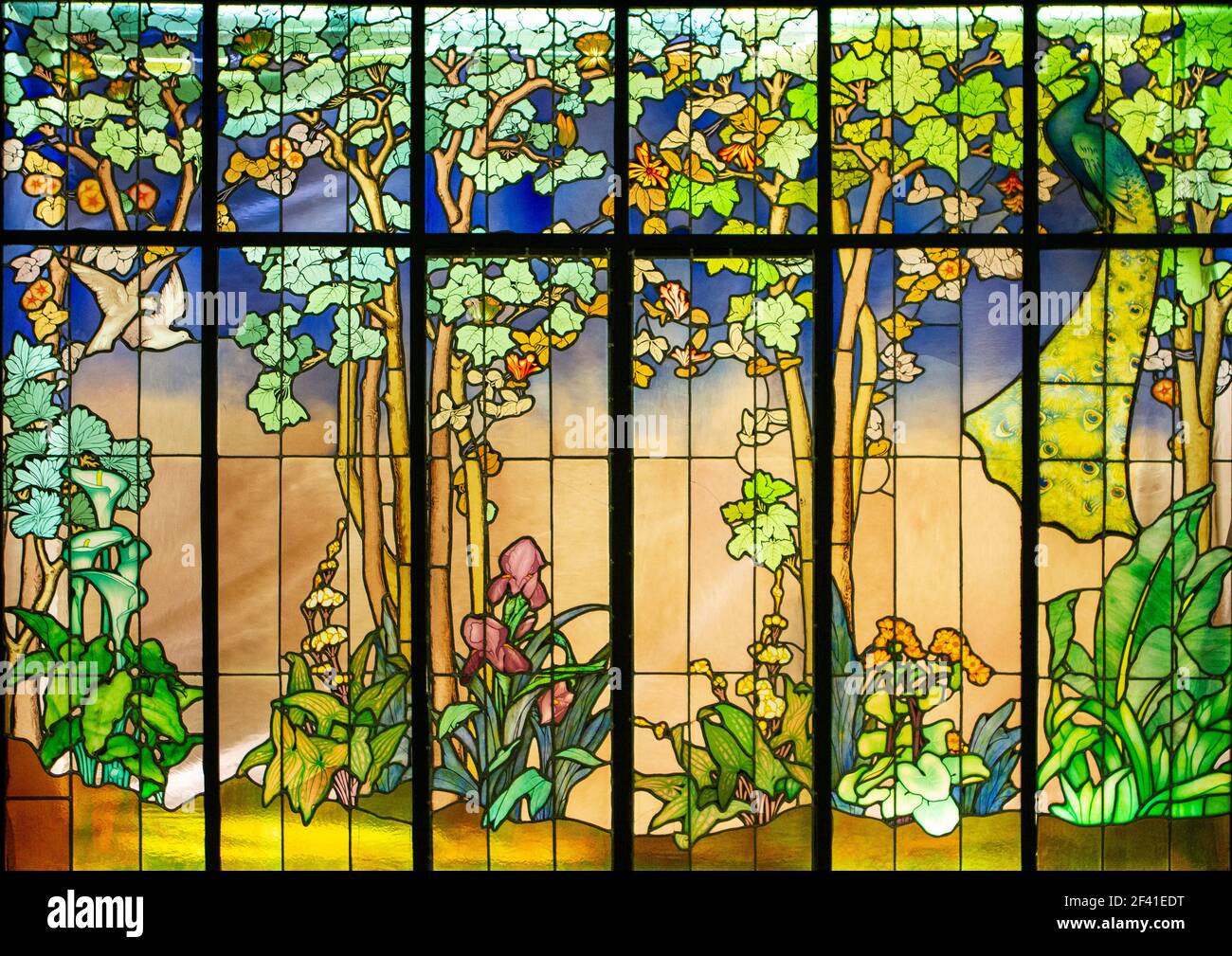 art nouveau stained glass Stock Photo