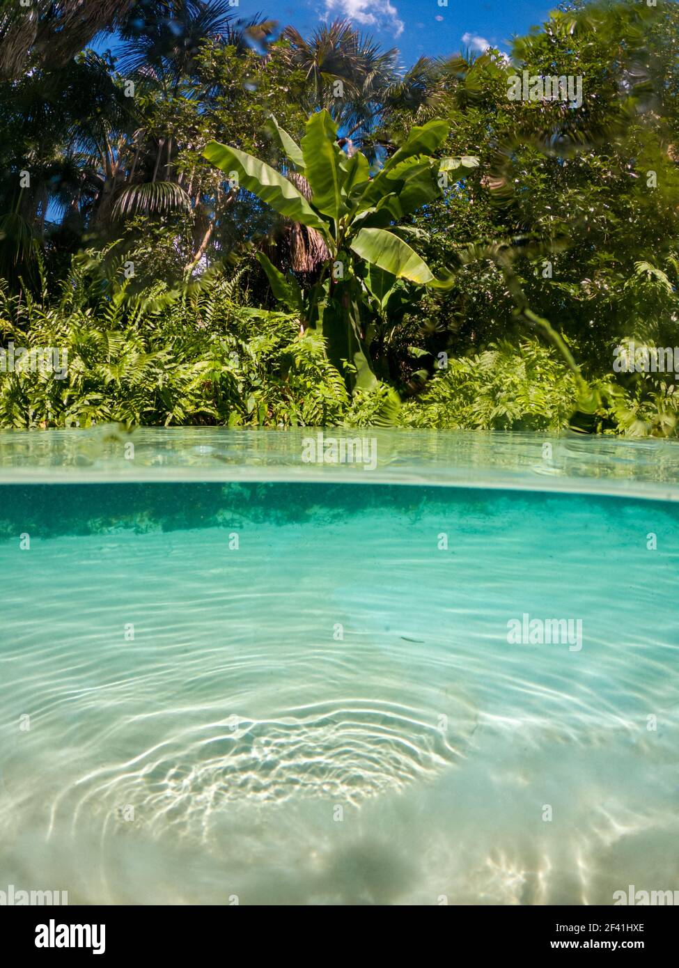 half underwater photo of lake with boiler (fervedouro) located in Jalapão region, Tocantins state, central Brazil. Stock Photo