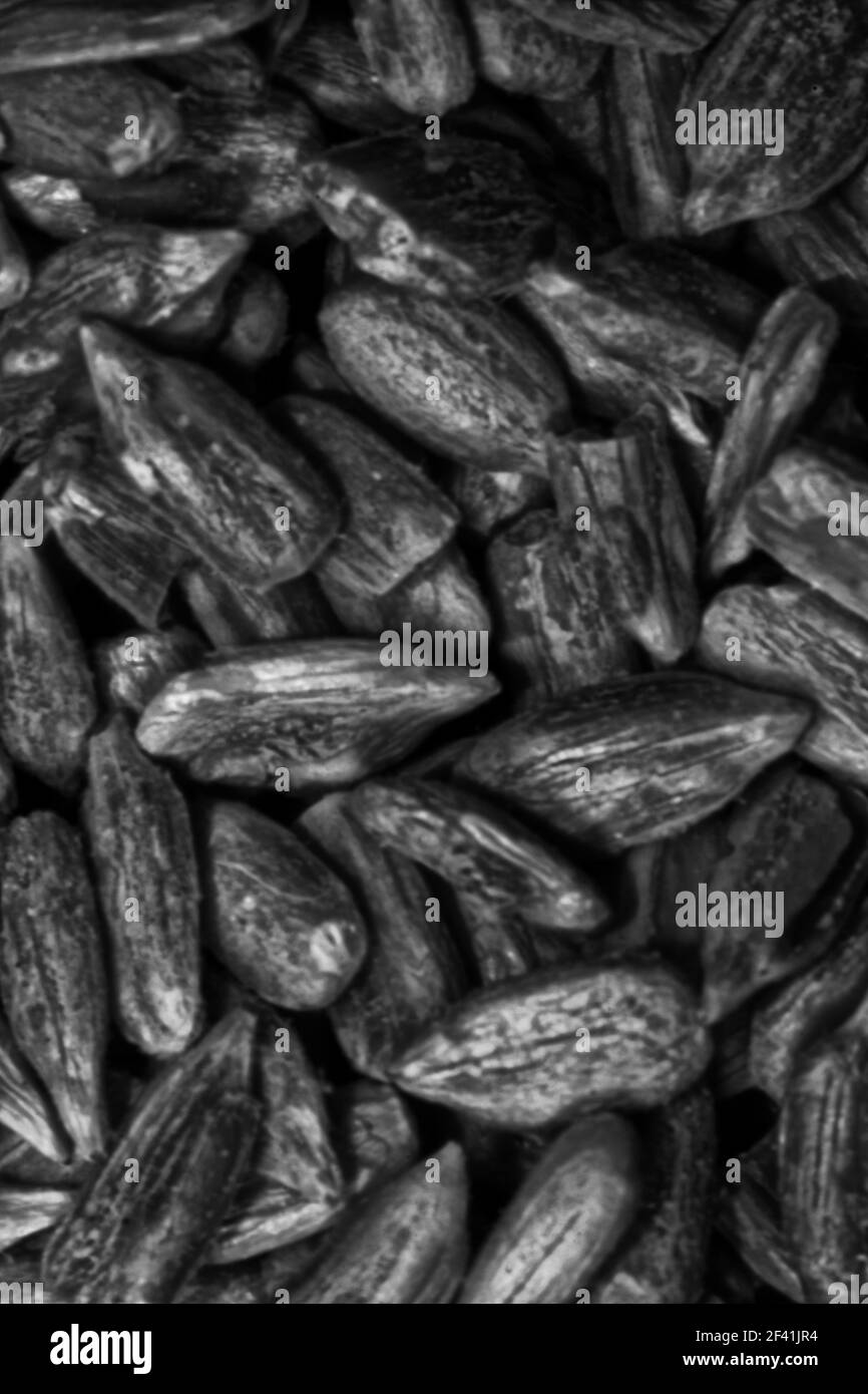 Photo Seeds, sunflower seeds Stock Photo Alamy