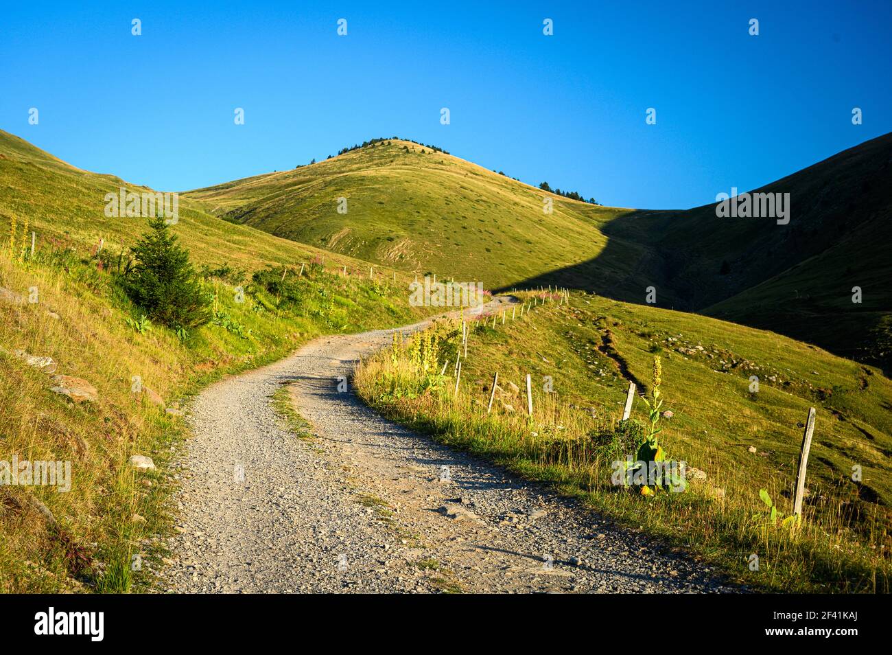 Stone path ascending up a grassy hill on a beautiful sunny day Stock Photo