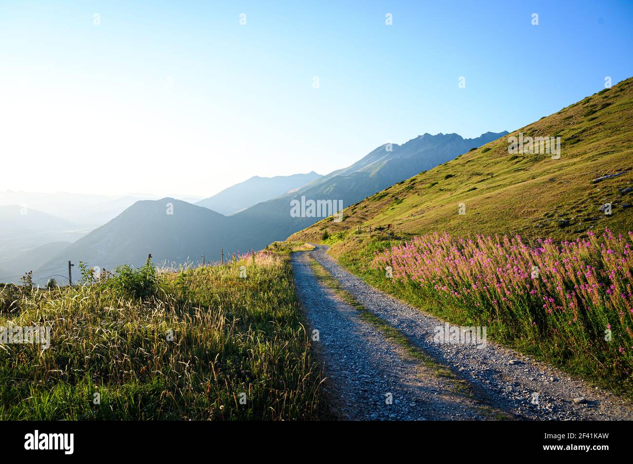Macadam stone path in the mountains surrounded by beautiful flowers and grassy hills Stock Photo