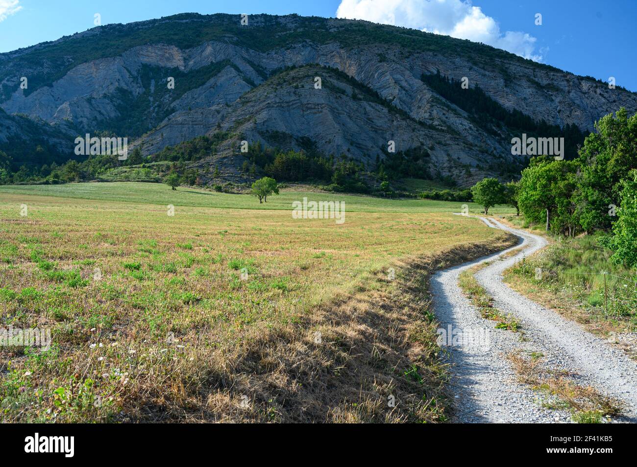 Stone path at the foot of the mountain passing grassy field Stock Photo