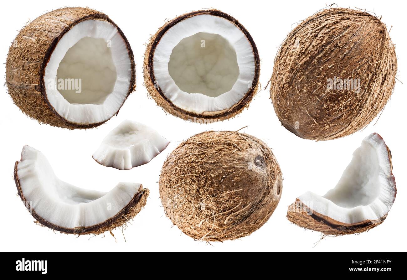 Set of different coconuts with cracked coconut fruit piece isolated on white background. Stock Photo