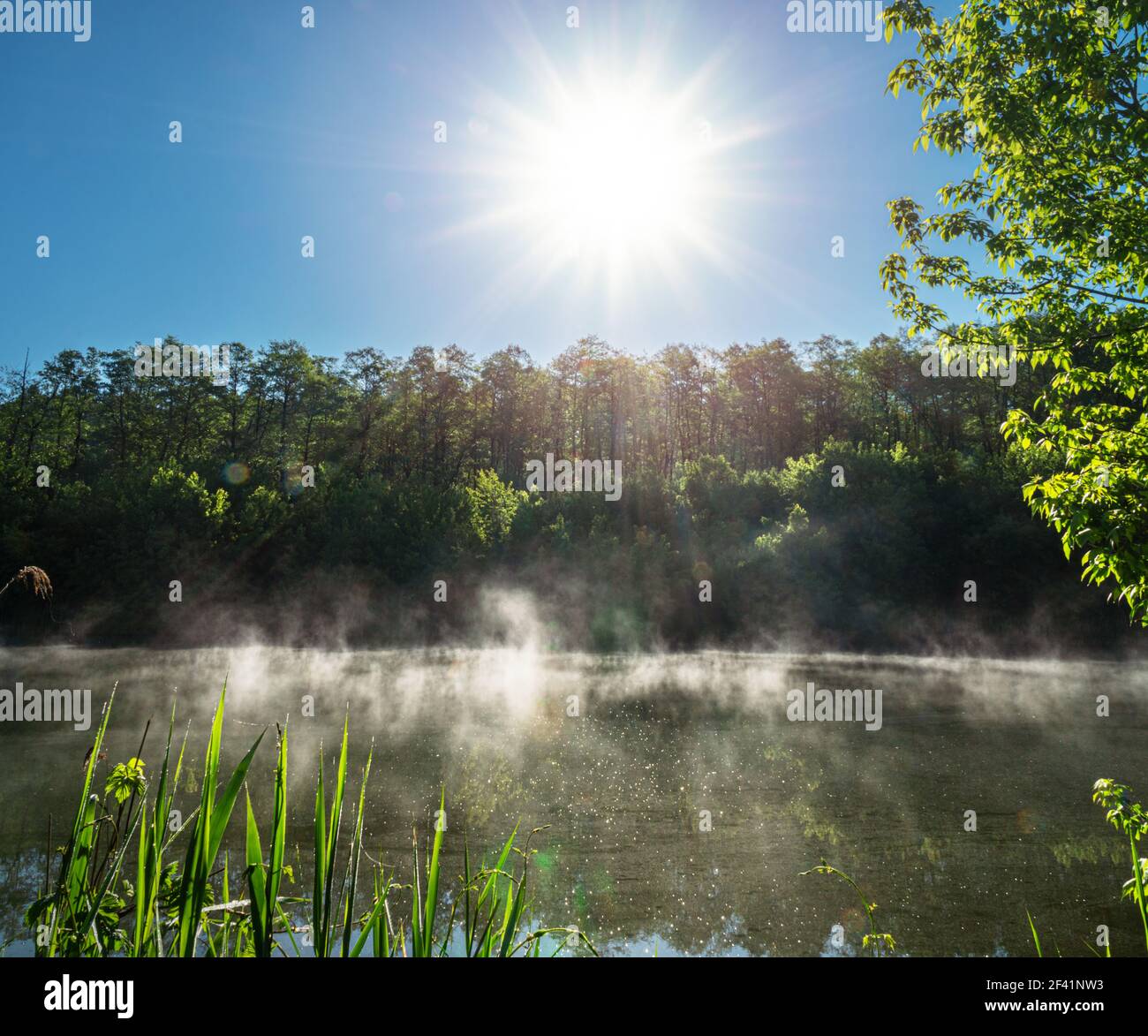 Bank of the enchanted river hi-res stock photography and images - Alamy
