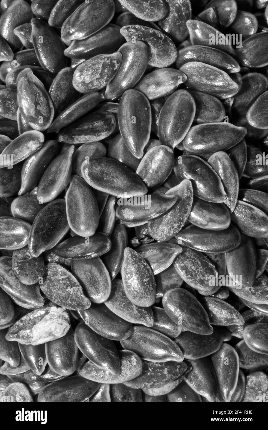 https://c8.alamy.com/comp/2F41RHE/photo-flax-seeds-2F41RHE.jpg