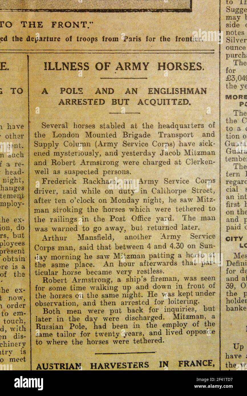 'Illness of Army horses', article about military horses being poisoned, 'The Daily Graphic' (12th Aug 1914), replica WWI memorabilia. Stock Photo