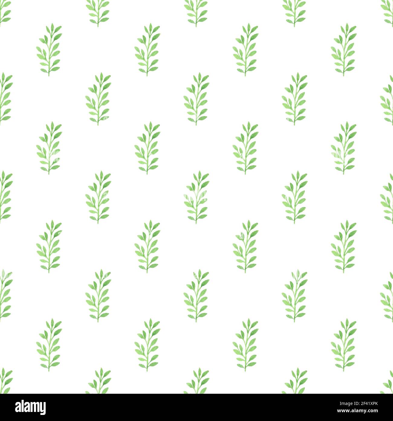 Watercolor floral seamless pattern with green leaves on a white ...
