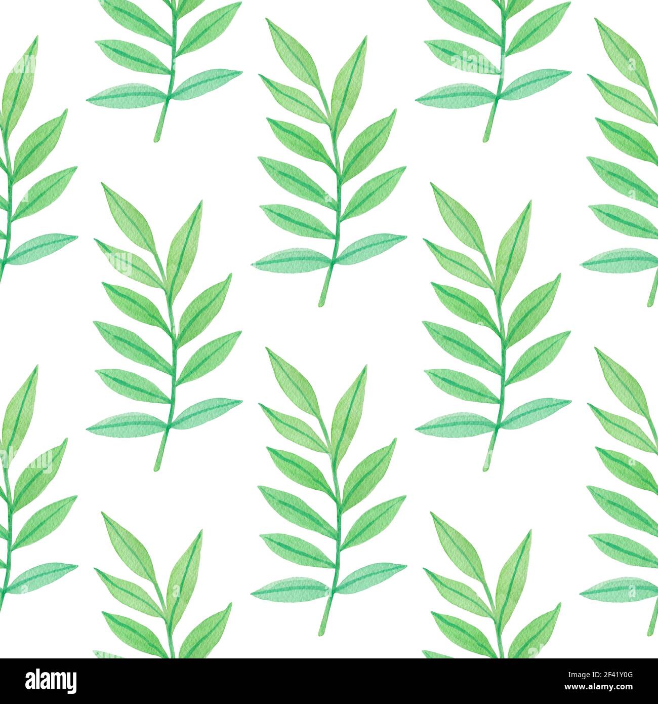 Watercolor seamless pattern with green leaves on a white background ...