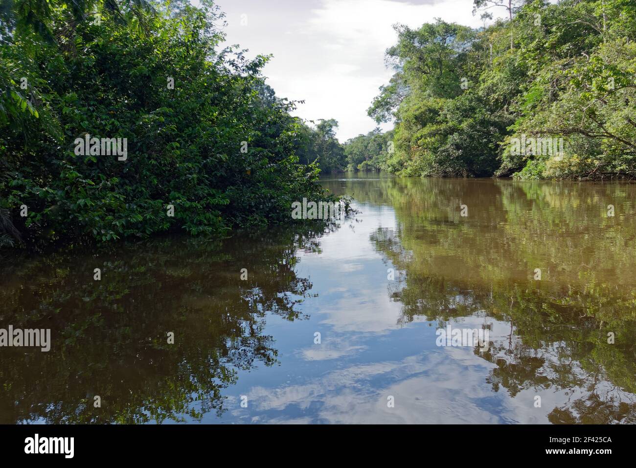 Cuyabeno River in Cuyabeno Wildlife Reserve (Amazonia, Ecuador) Stock Photo