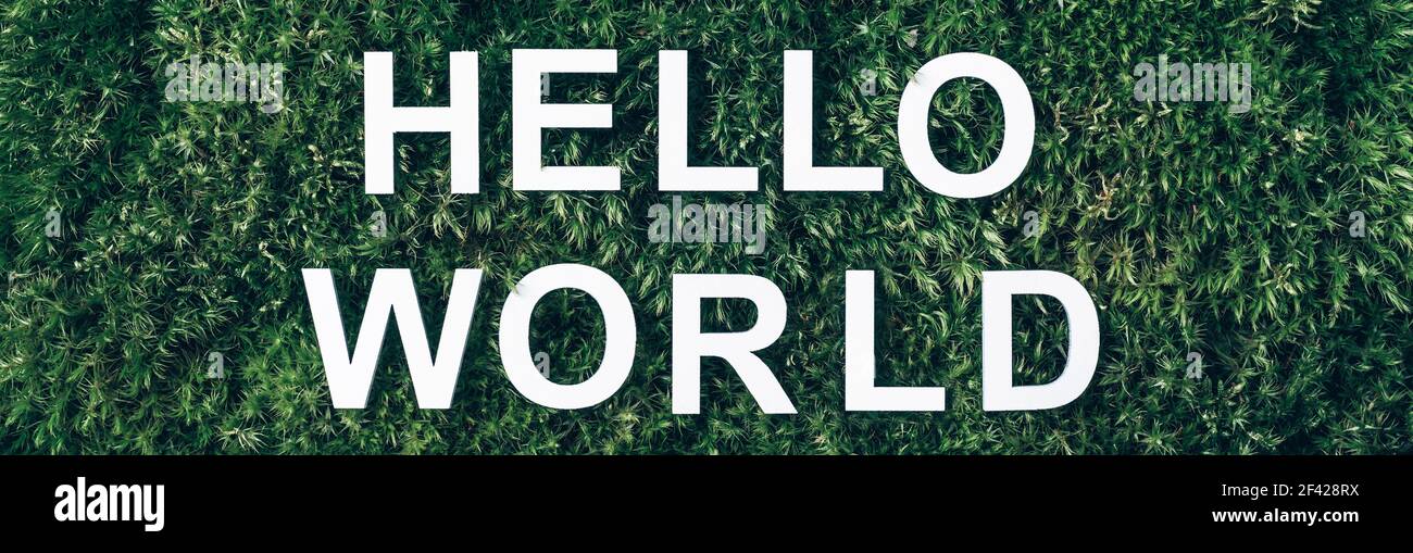 Hello World Wallpaper
