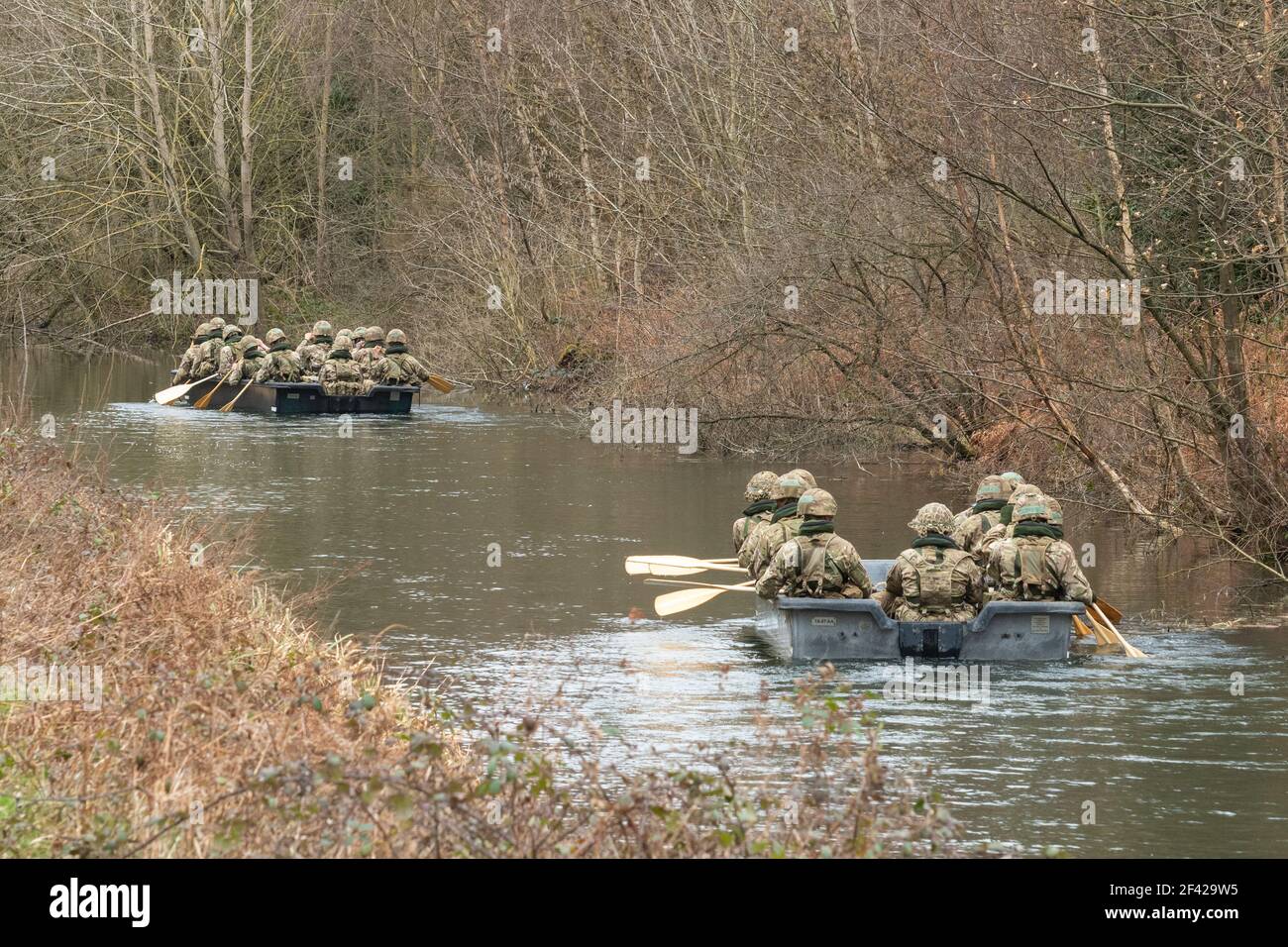 British army on a military training exercise in rowing boats on a canal, Hampshire, UK Stock Photo