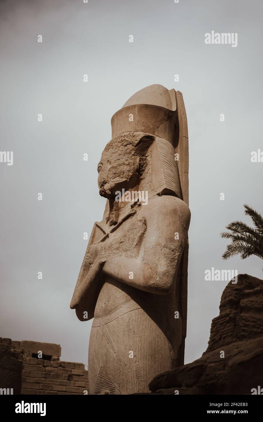 A vertical shot of the statue of a Pharaoh in the Luxor Temple in Egypt ...