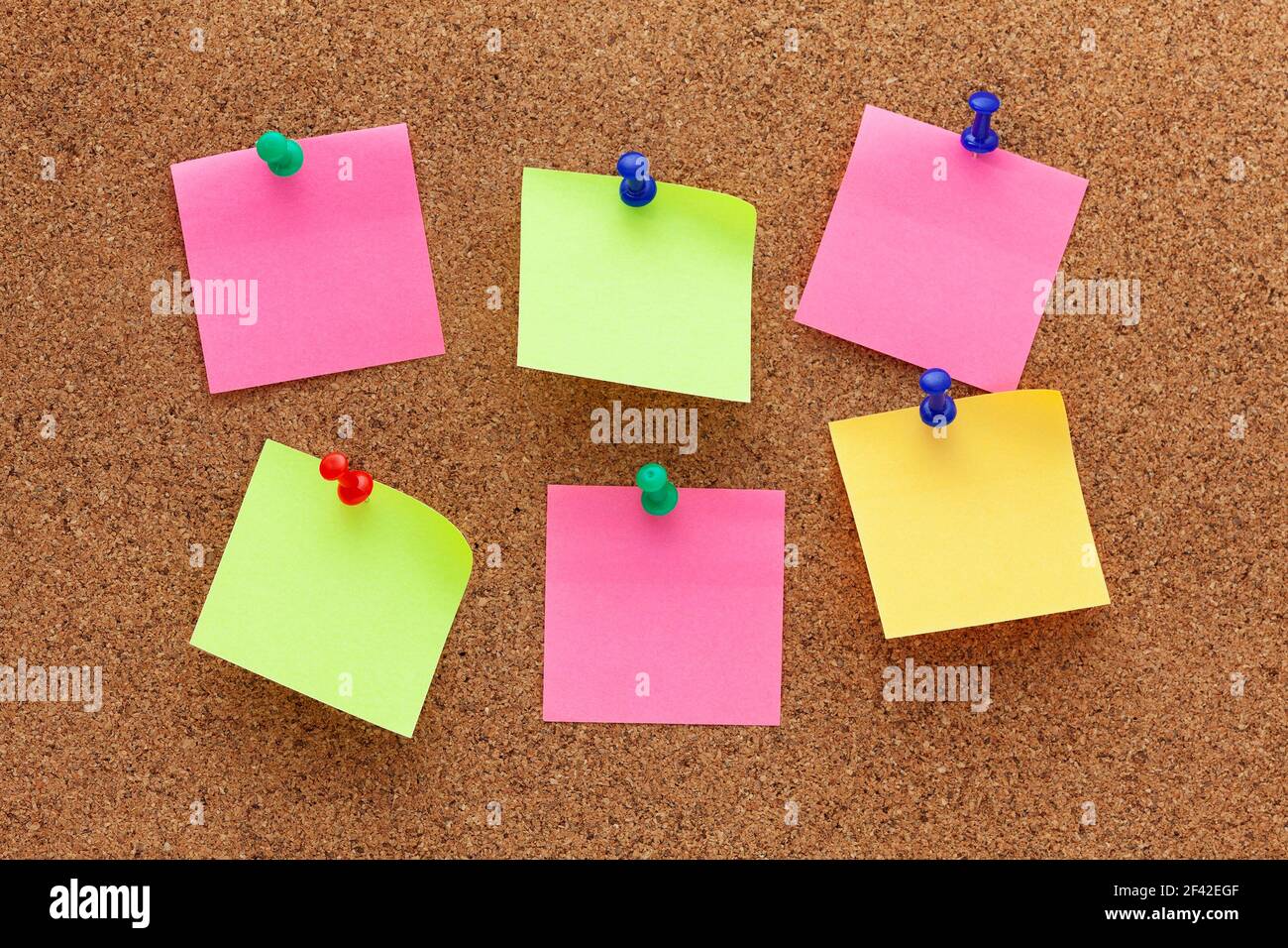 Six blank sticky notes pinned on a cork board. Close up. Stock Photo