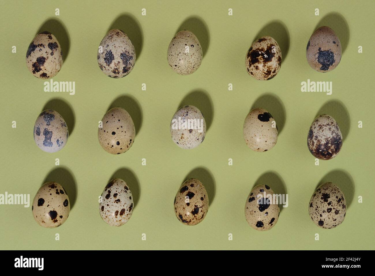 Quail eggs on green background. Flat lay, top view. Happy Easter concept. Stock Photo