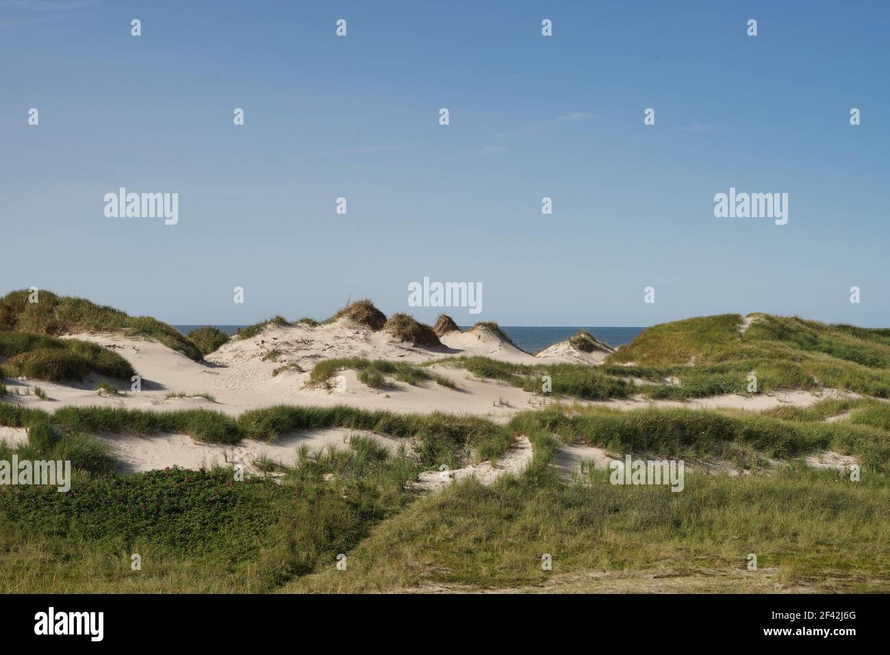 bunker ruin at beach near Houvig Jutland Denmark dunes Stock Photo