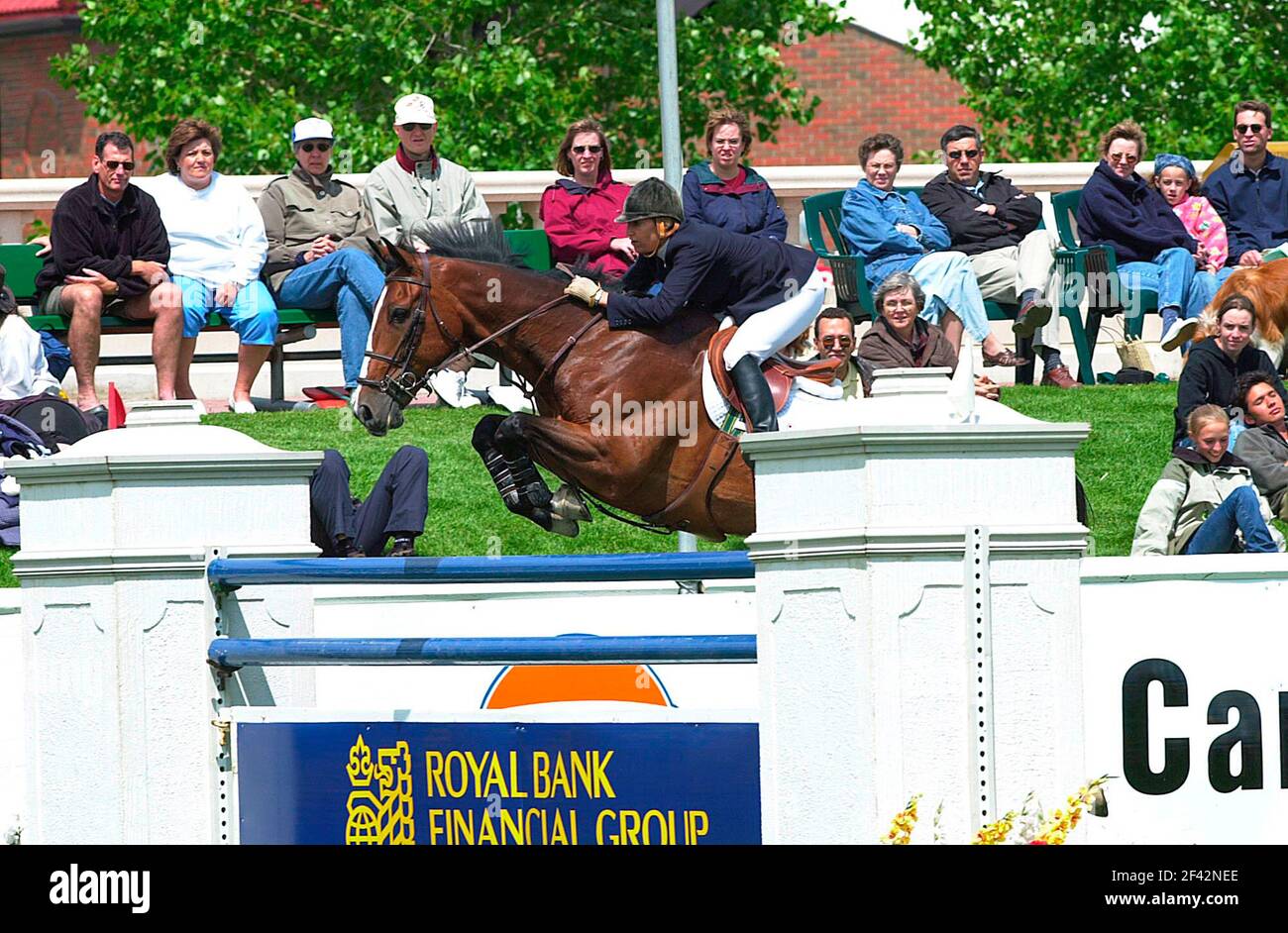 Royal Ranthom Royal anthem horse hi-res stock photography and images - Alamy