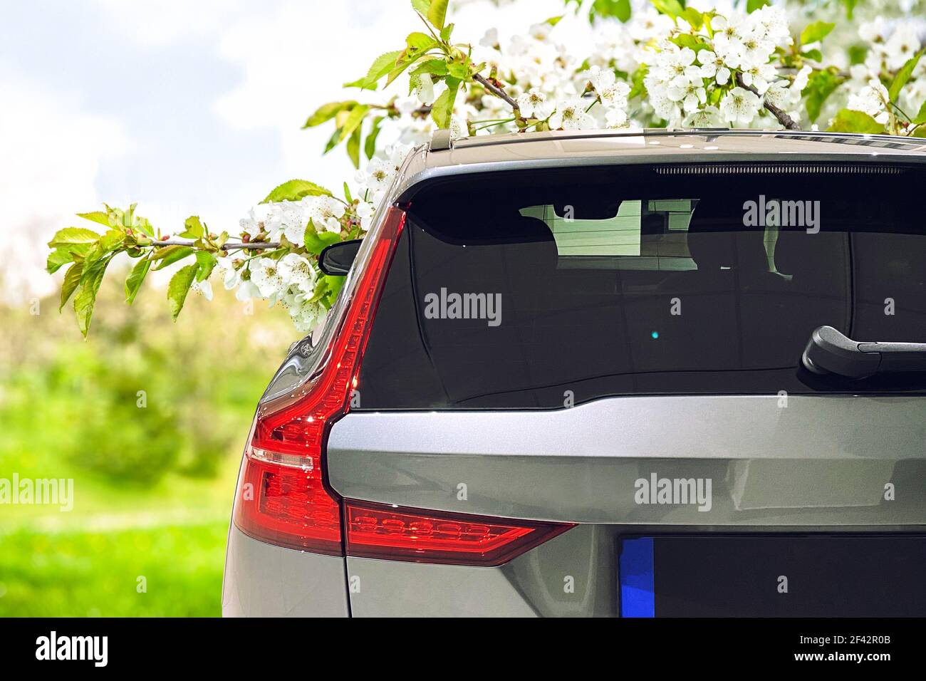 Car window mockup. Product mock up spring landscape Stock Photo