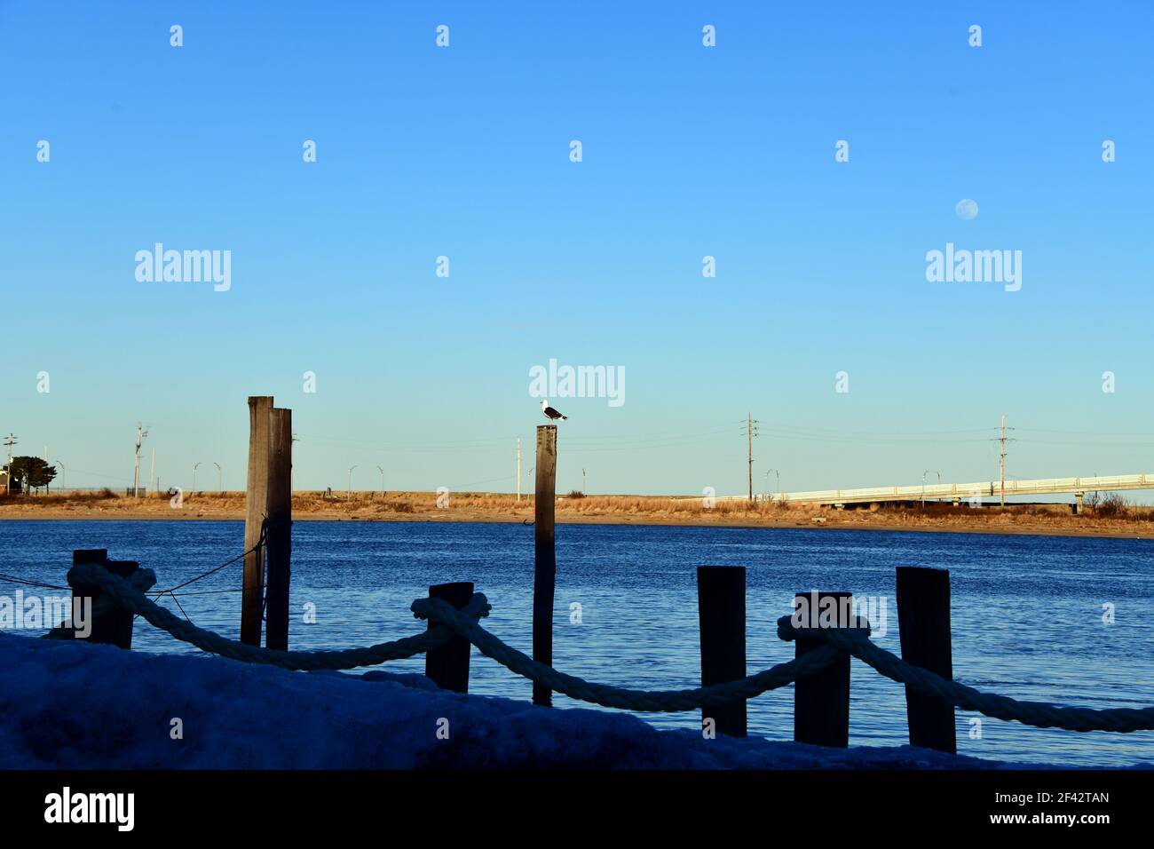 A stark scene of a lone gull perched atop of dock mooring with bright blue sky and a tiny full moon.in a marina. Stock Photo