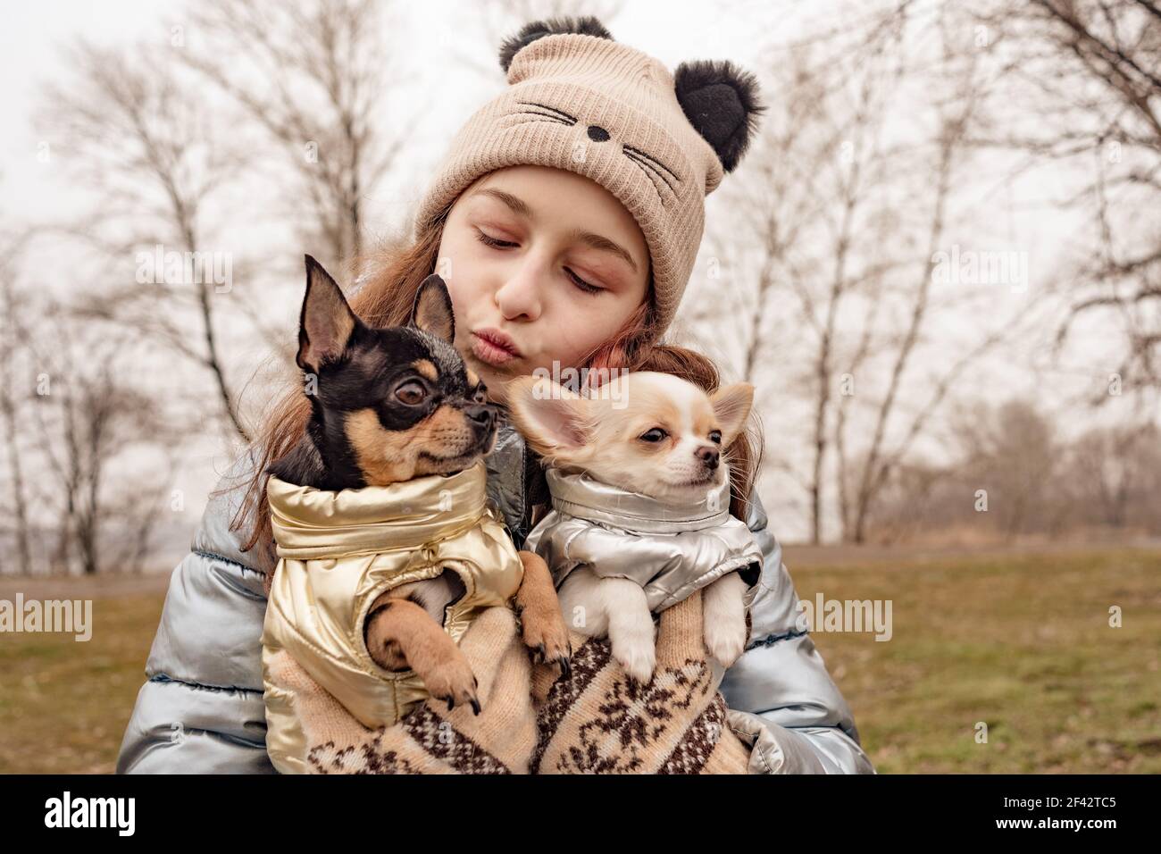 winter jacket for chihuahua