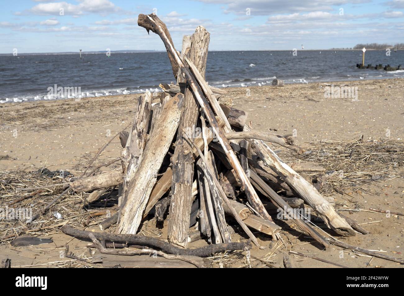 Black and white abstract driftwood hi-res stock photography and images ...