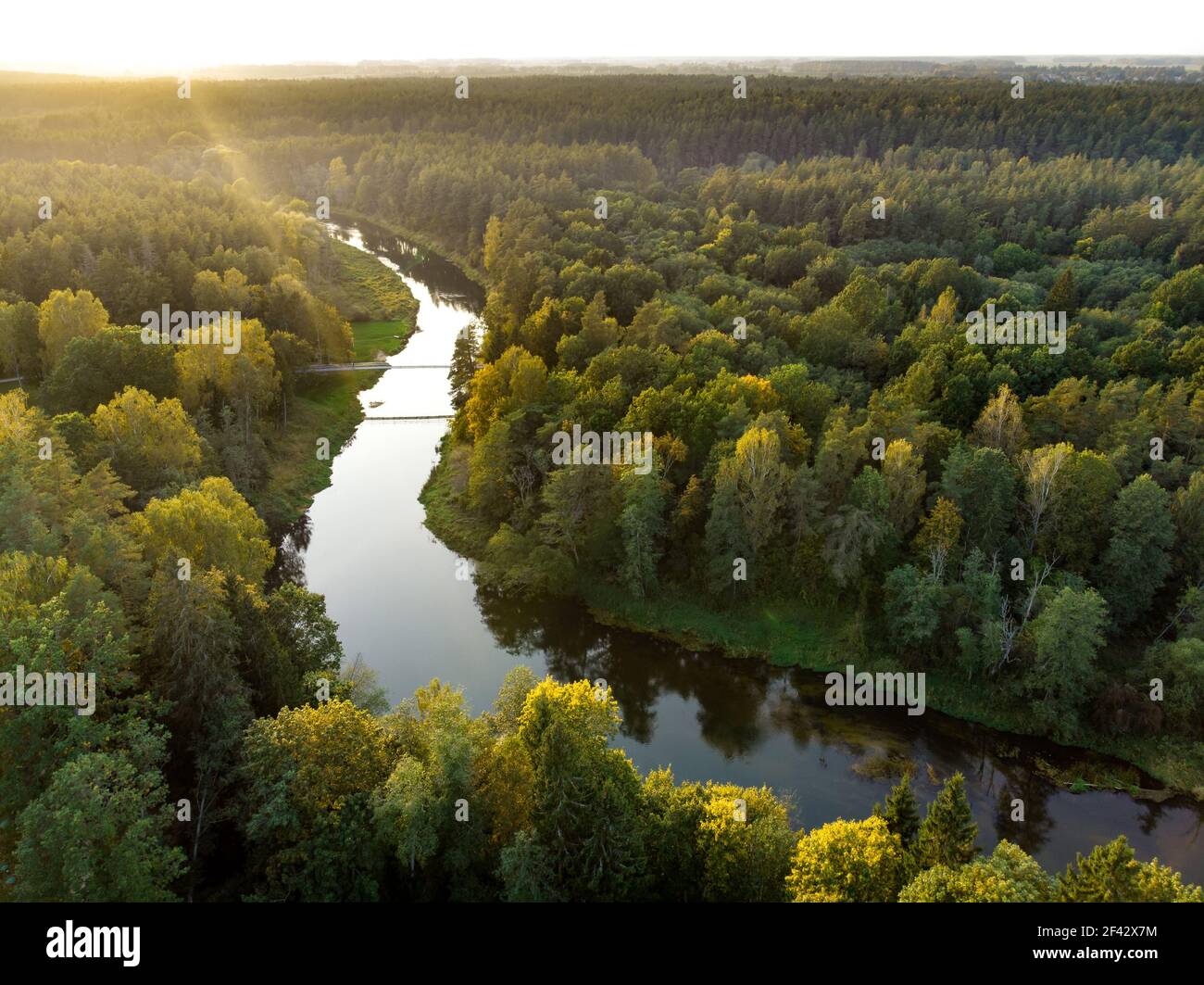 Aerial view of Laju takas, tree-canopy trail complex with a walkway, an information center and observation tower, located in Anyksciai, Lithuania Stock Photo
