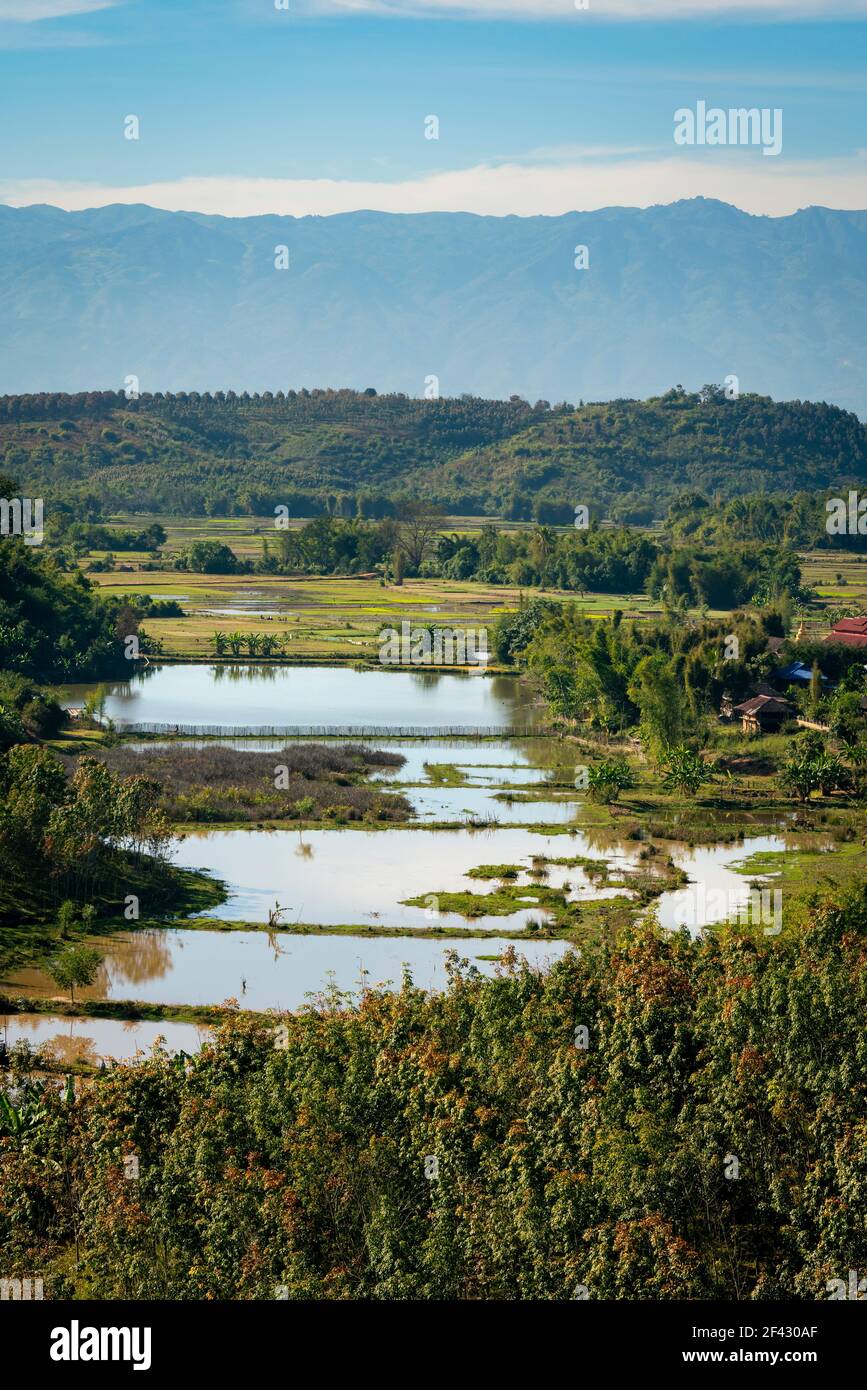 Scenic view of flooded rice field near Kengtung, Myanmar Stock Photo