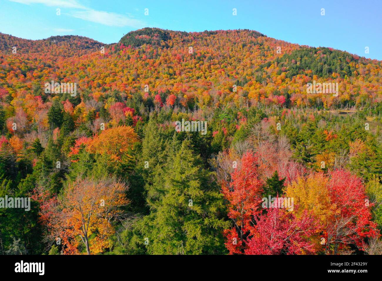 Colorful Autumn Forest in Adirondacks from Above Stock Photo