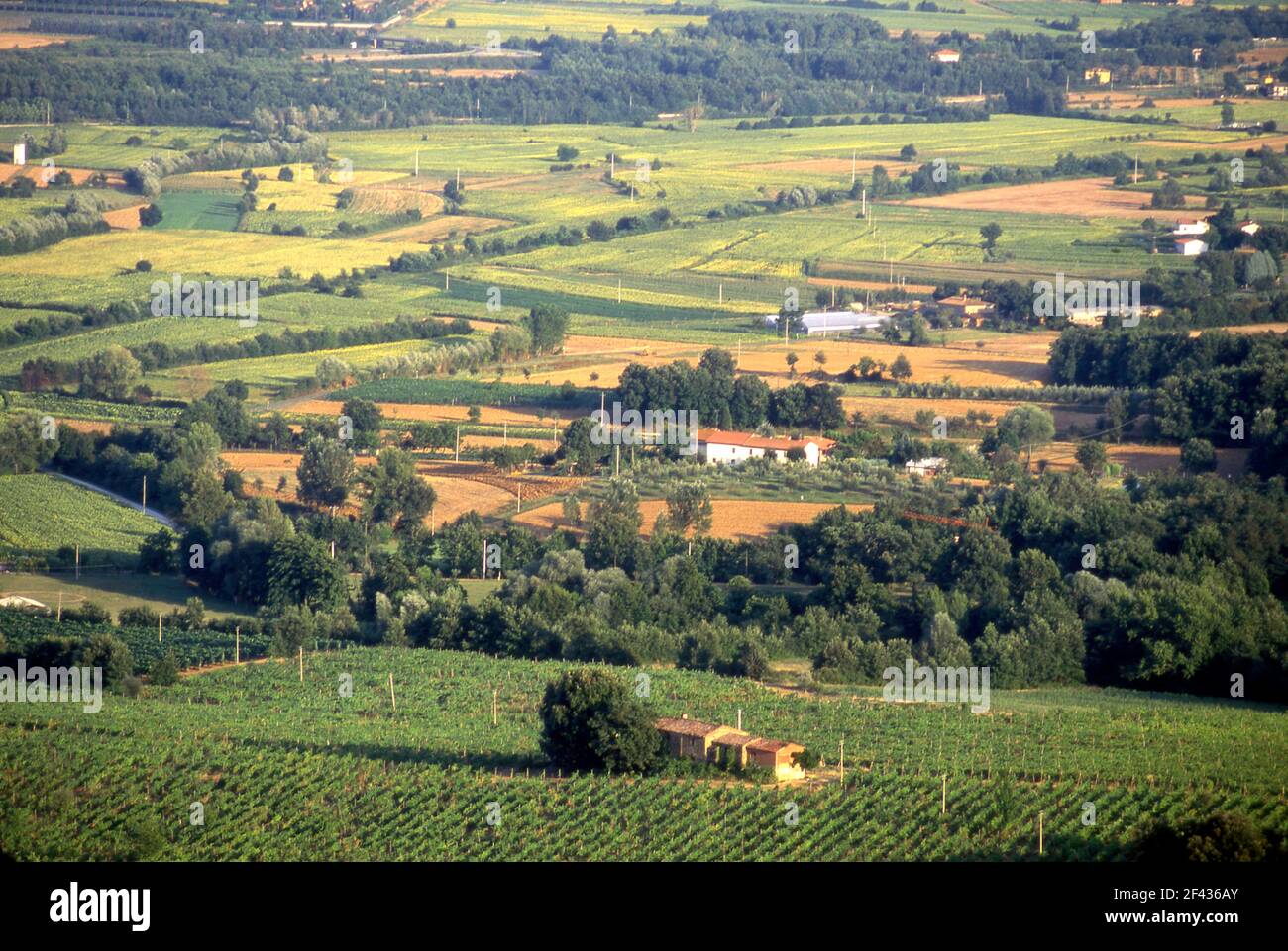 Agricultural landscape in the Valdarno region of Tuscany, Italy Stock Photo