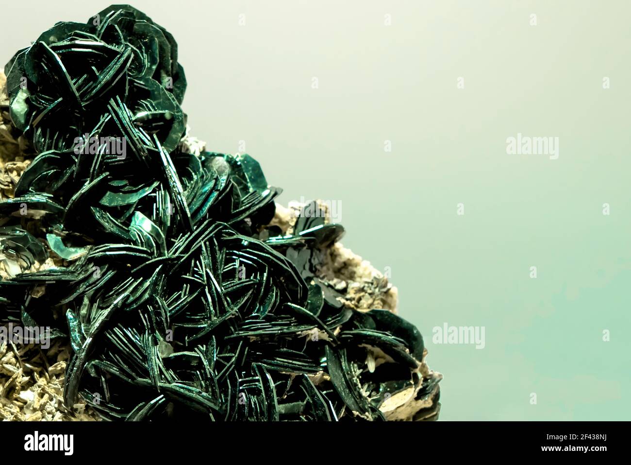 Jinsiy aloqa foto toplami