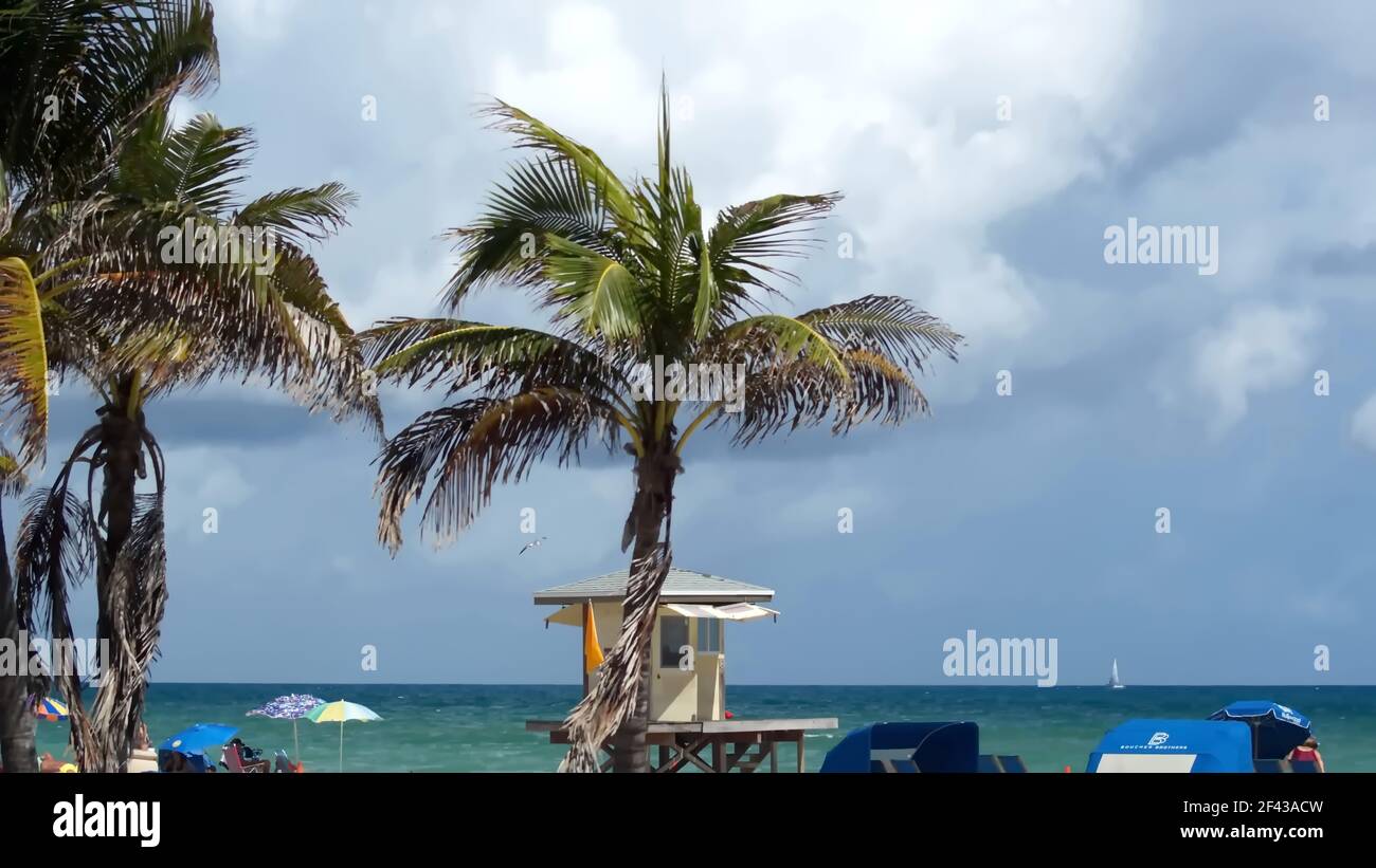Palm trees above a lifeguard stand on Dania Beach, Fort Lauderdale, Florida, USA Stock Photo