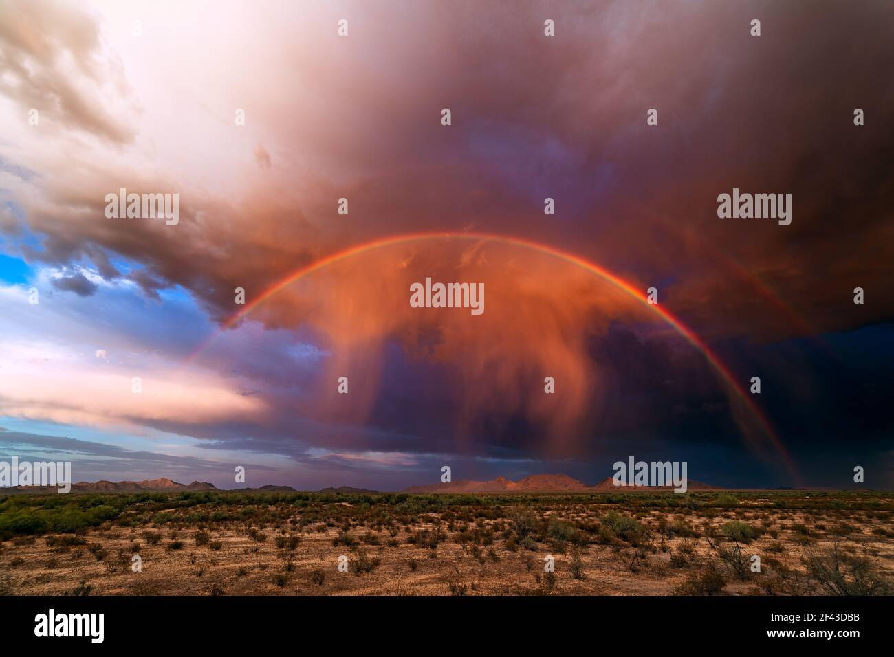 Monsoon storm and desert landscape with a rainbow, virga, and dramatic clouds at sunset near Gila Bend, Arizona Stock Photo