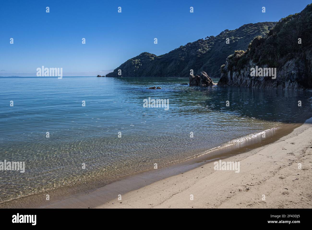 Wainui Bay from Sandspit Stock Photo Alamy