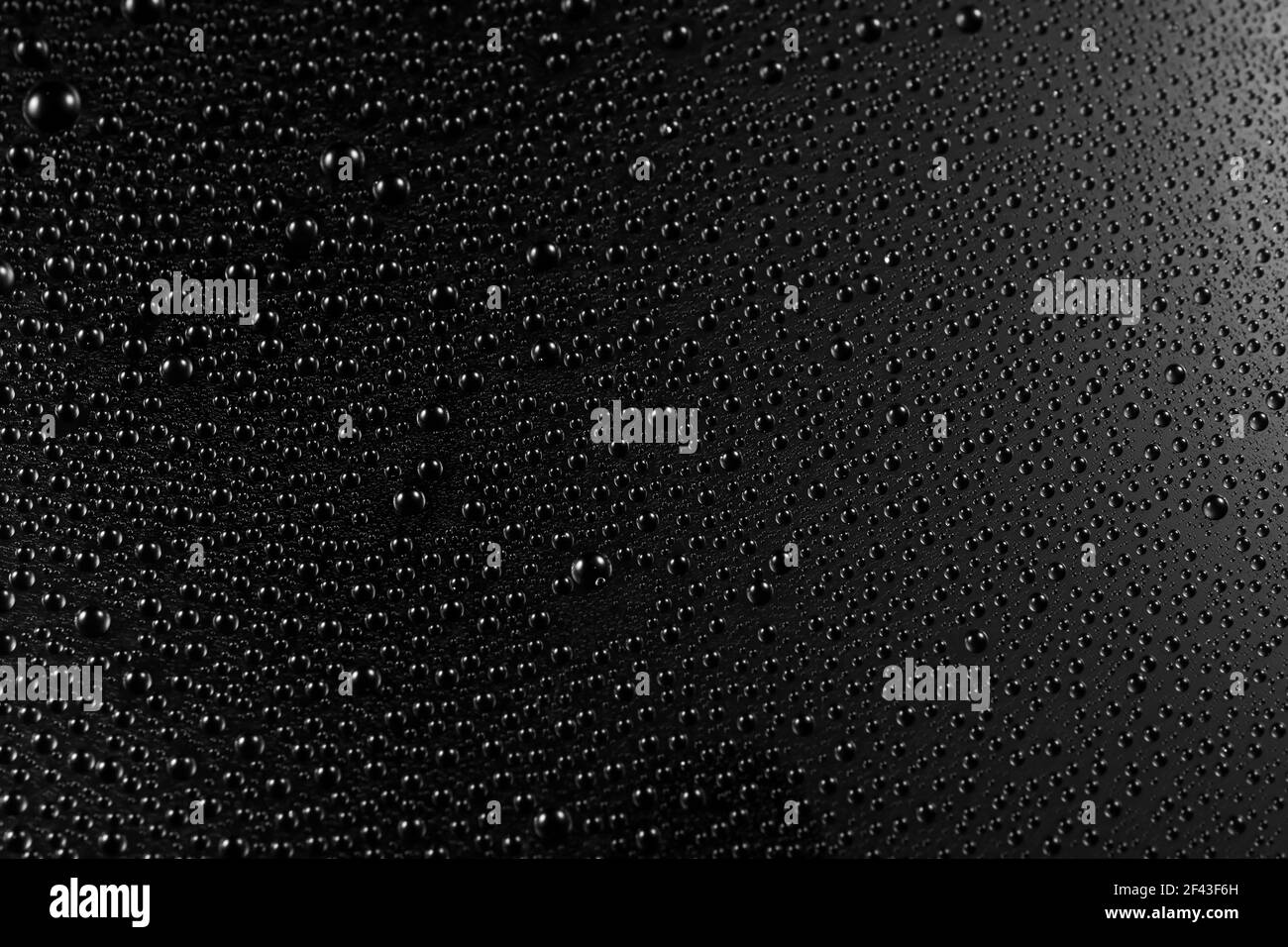 Water drops on dark background Stock Photo