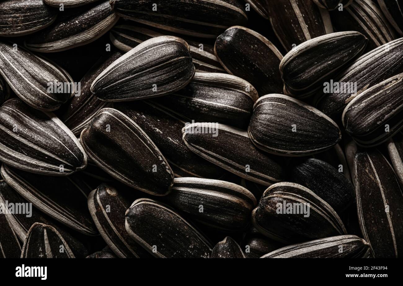 Tasty sunflower seeds as background Stock Photo - Alamy