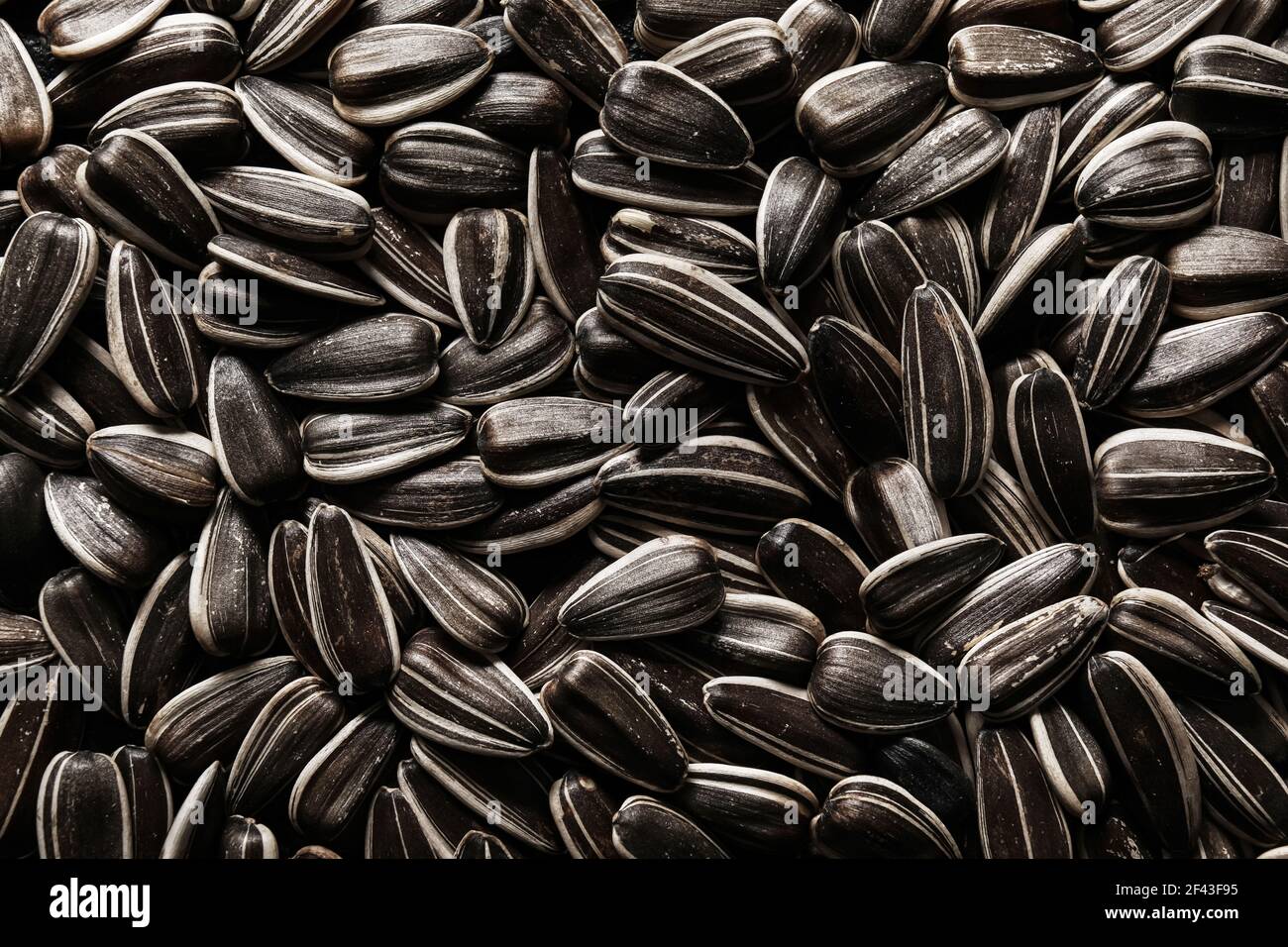 Tasty sunflower seeds as background Stock Photo - Alamy