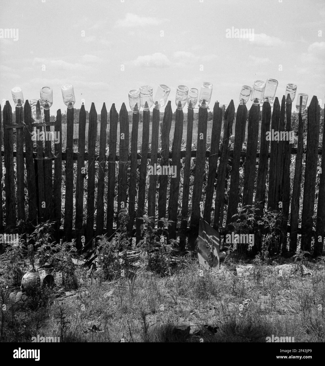 Fruit jars being sterilized on old lady Graham's back fence in berry season. Near Conway, Arkansas. 'We just gather and can peas, beans, berries, and sausage when we butcher the hogs in the winter. We put up seventy-five quarts of berries, sixty of beans, sixty of kraut, thirty of grapes and twenty of peaches. I swapped two bushels of grapes and got two bushels of peaches and I swapped one bushel of grapes for one bushel of apples”. June 1938. Photograph by Dorothea Lange. Stock Photo