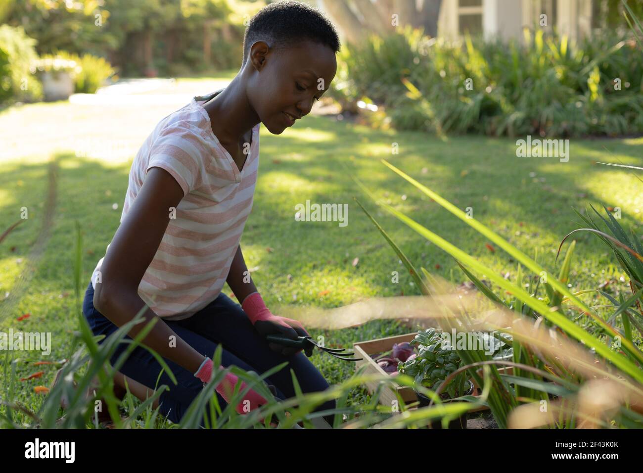African american woman gardening on sunny garden terrace Stock Photo ...