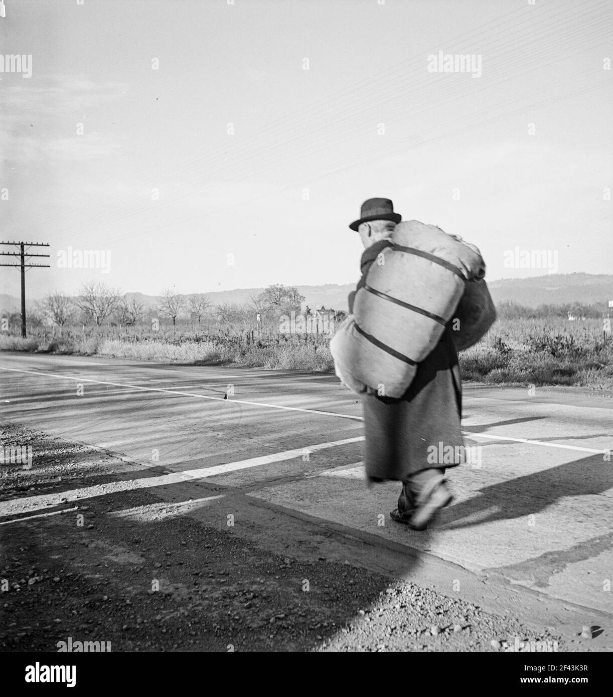 Napa Valley, California. More than twenty-five years a bindle-stiff. Walks from the mines to the lumber camps to the farms. The type that formed the backbone of the Industrial Workers of the World (IWW) in California before the war. Subject of Carleton Parker's 'Studies on IWW”. December 1938. Photograph by Dorothea Lange. Stock Photo