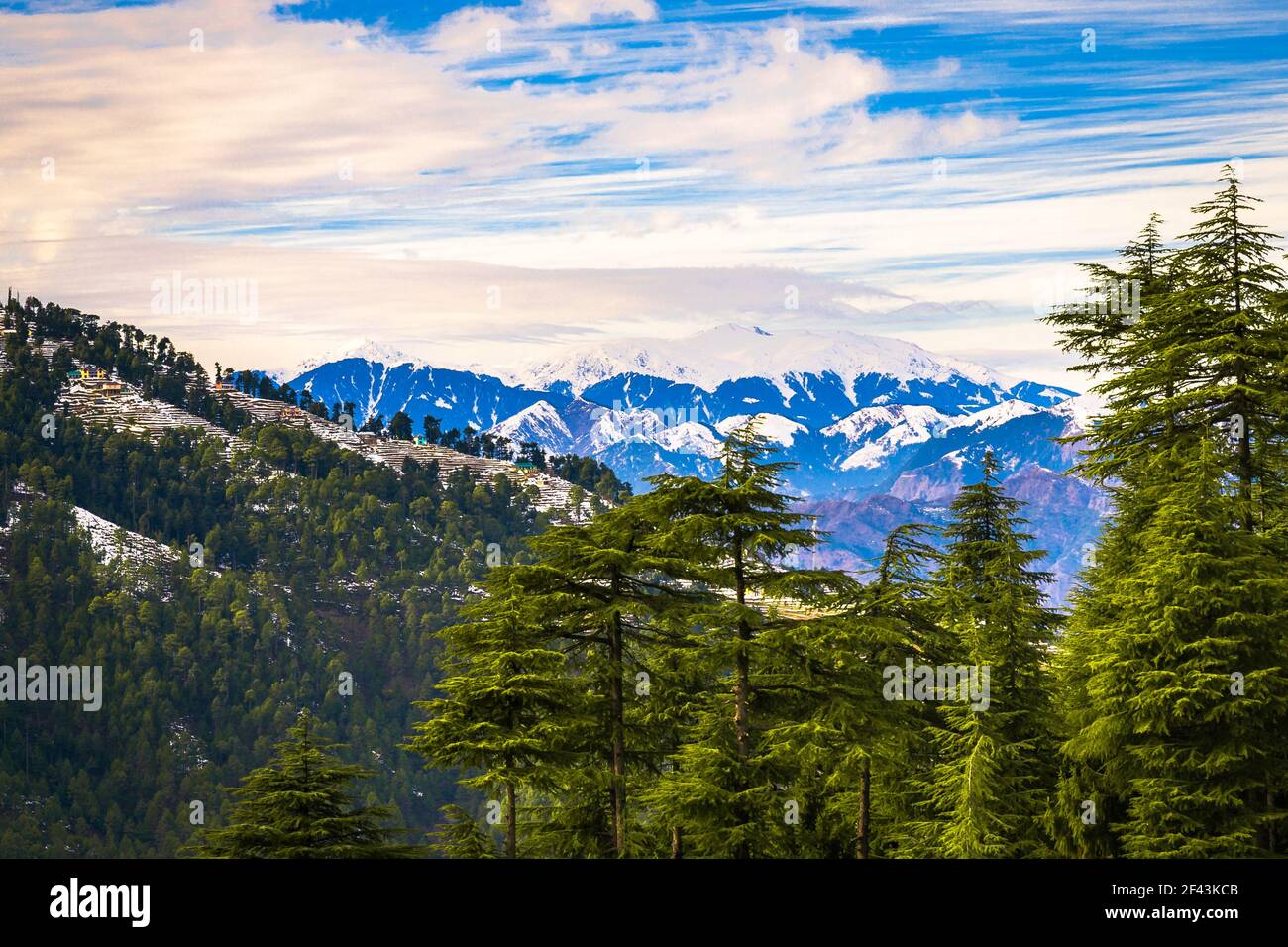 Himalayan Nature Park Himachal Pradesh High Resolution Stock Photography  and Images - Alamy