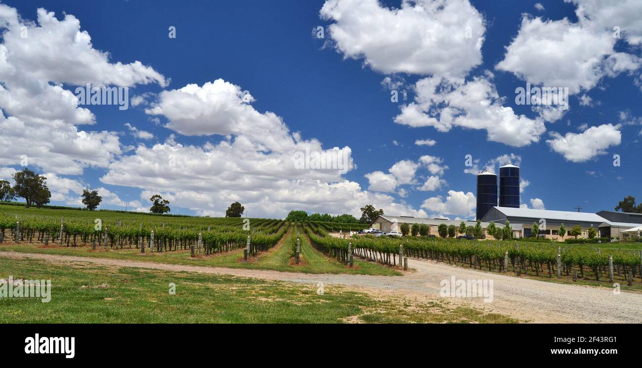 A winery in the Adelaide Hills, South Australia Stock Photo Alamy