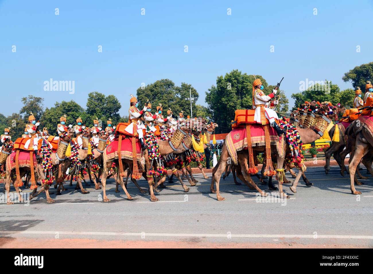 Camel Contingent of Border Security Force, India marching in Delhi on the  eve of Republic day Parade Stock Photo