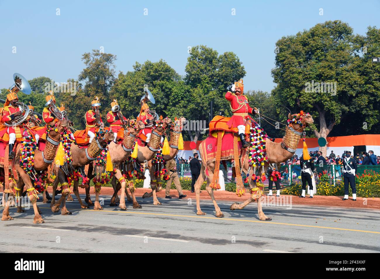 Camel band of Border security Force, India Stock Photo