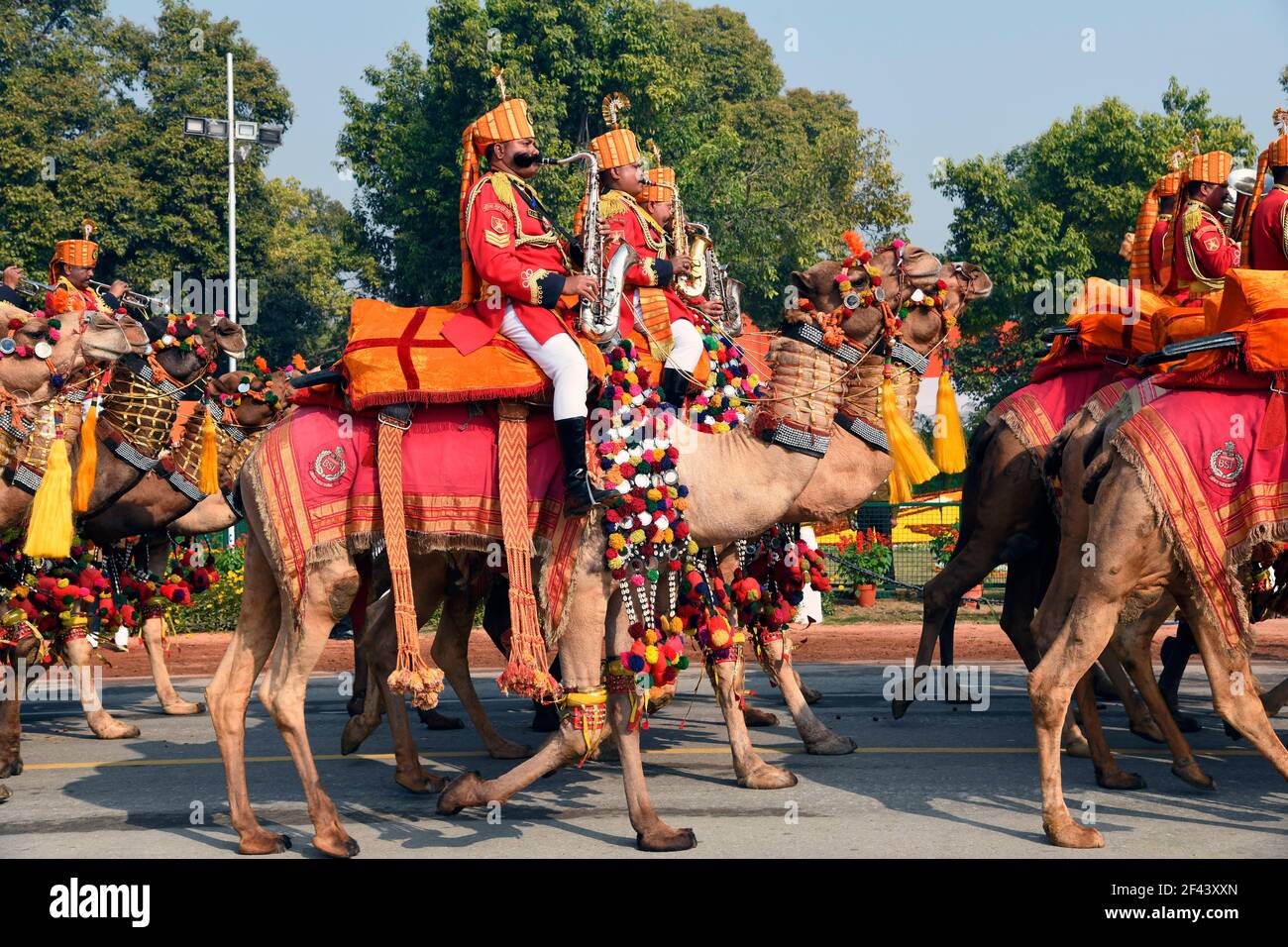 Camel band of Border security Force, India Stock Photo