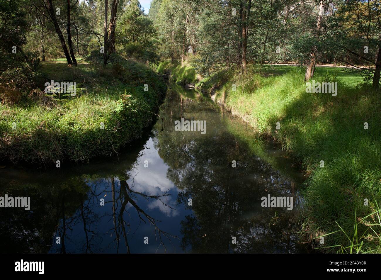 This is a section of the Mullum Mullum Creek, which runs from Croydon, through Ringwood and