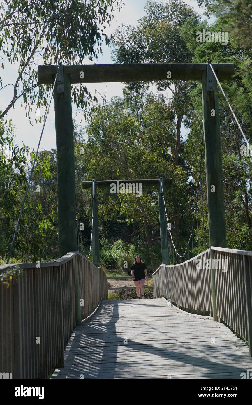 A close up of the old wooden suspension bridge over Mullum Mullum Creek trail - with a walker about to cross, giving it scale. Stock Photo