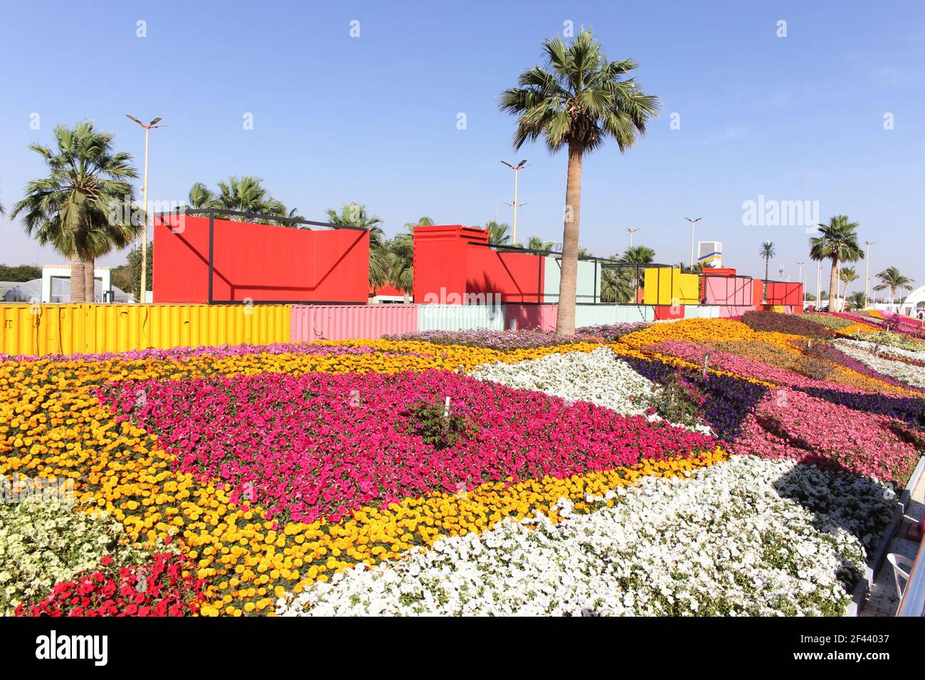 yanbu flower festival Stock Photo Alamy